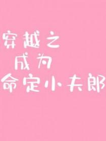 穿越之成为命定小夫郎