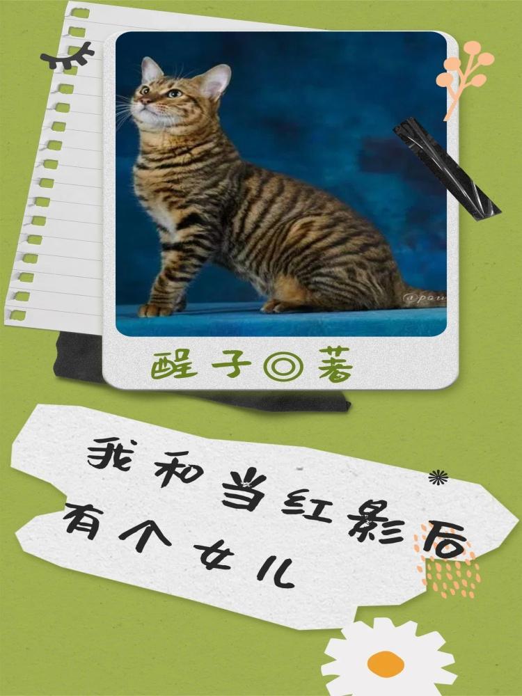 我和当红影后有个女儿